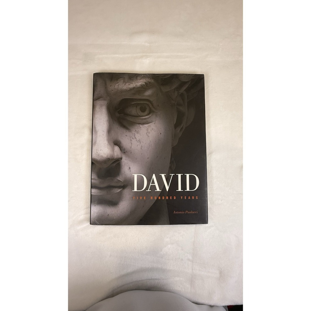 David Five Hundred Years Antonio Paolucci Hardcover Art Book Michelangelo